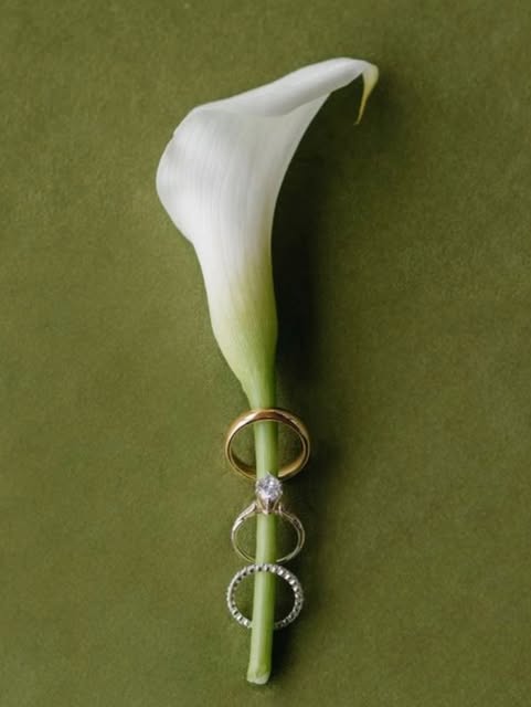 Calla lily and rings on green